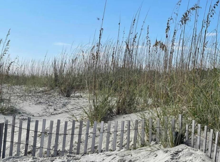 Hotel Marriott'S Monarch At Sea Pines Hilton Head Island Exteriér fotografie